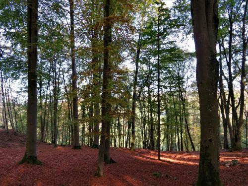 Maison D'engon Charme Calme Nature