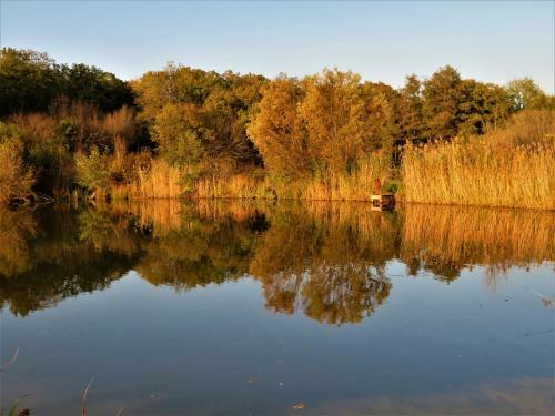 Maison D'engon Charme Calme Nature