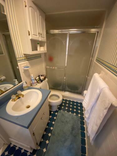 Spring Hill Lake House Apartment