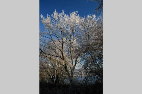 Les Auges