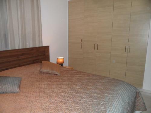 Apartamento Nissi Beach,ground Floor Flat