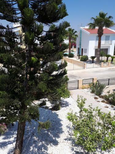 Villa Bouboulina Cyprus