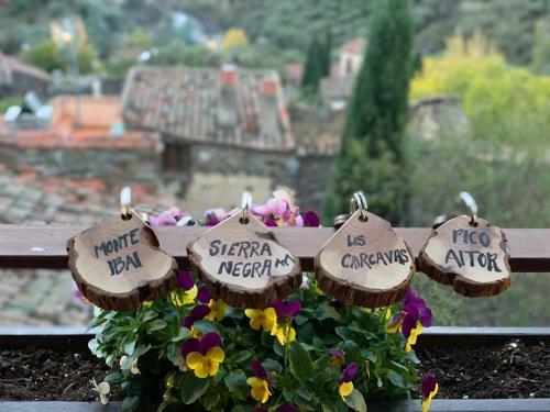 Apartamento Gran Reino Rural