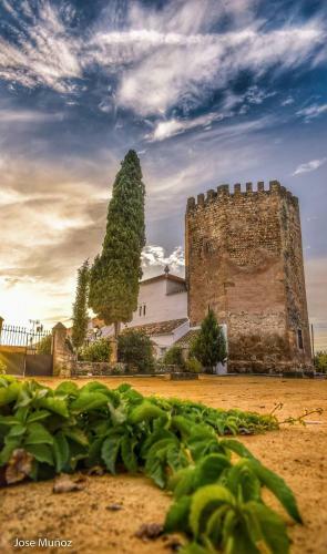 Apartamento Casa Rural El Pocito