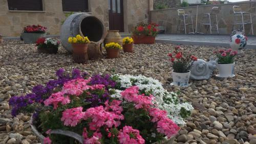 Agroturismo El Pilar De Don Gregorio
