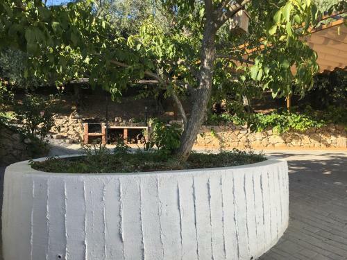 Agroturismo Casa De Los Alamos