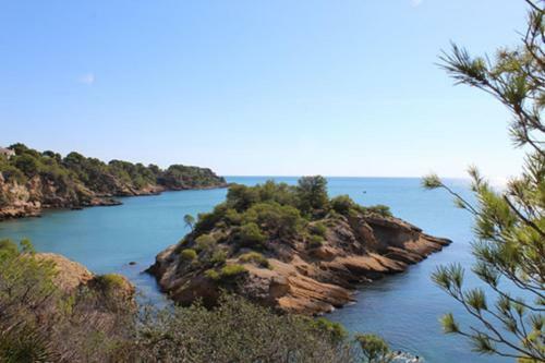 Apartamento R�stico-moderno Ap Origens III