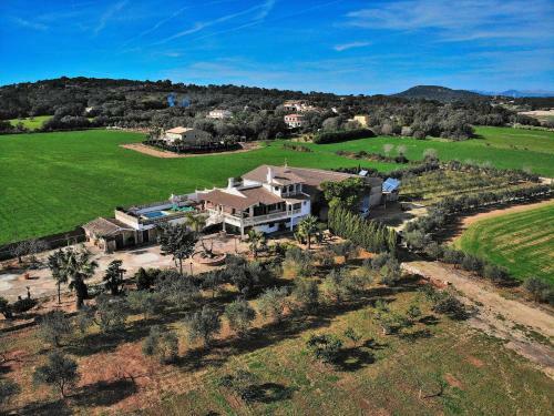 Son Perxa Finca Petra 216