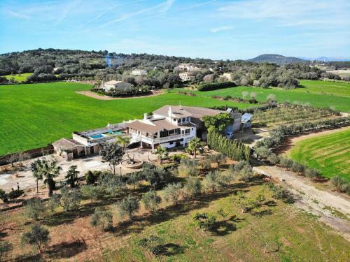Son Perxa Finca Petra 216