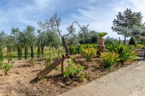 Yourhouse Son Perxa, Quiet Villa With Private Pool For 8 Guests