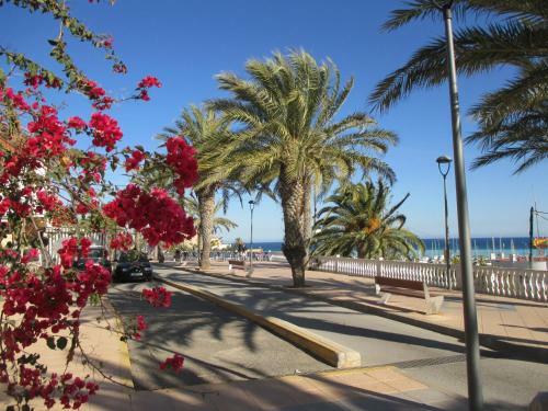 Apartamento Playa Elisa Bay
