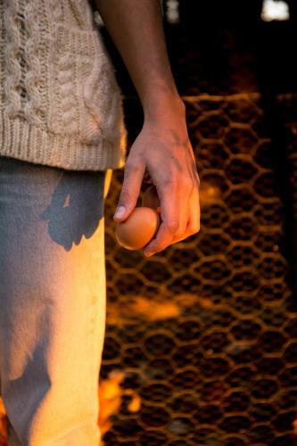Villa Mas Palou