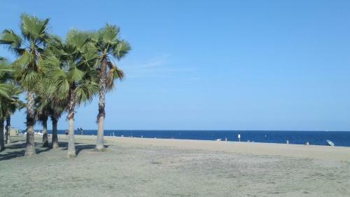 Asv Apartments