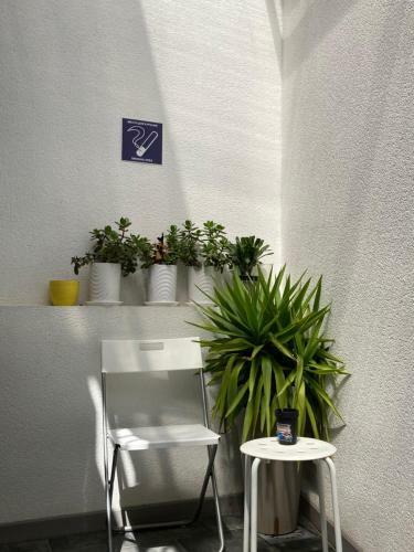 Asv Apartments
