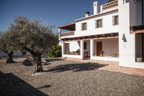 Casa Grande / Rosas Cantares