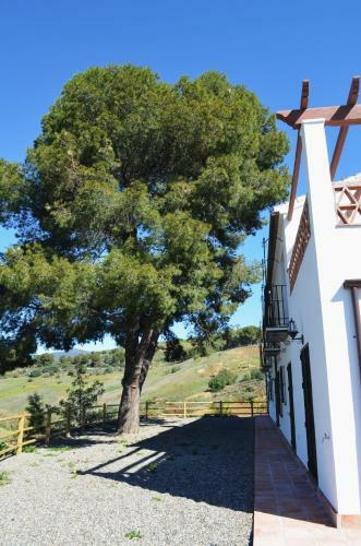 Casa Grande / Rosas Cantares