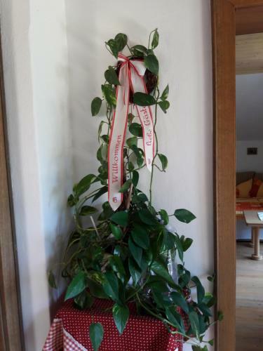 Agroturismo Haus Galler
