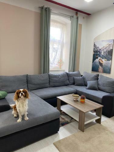 Ausseer Apartment