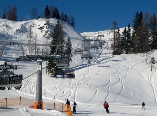 Apartamento Ferienwohnung Haas
