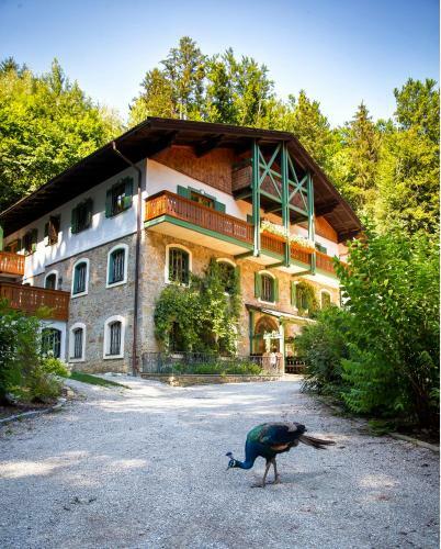 Naturidyll Hotel Hammerschmiede