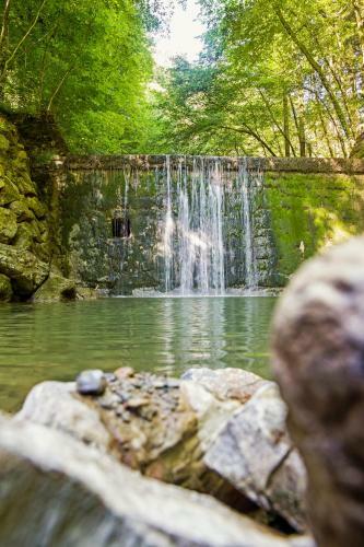 Naturidyll Hotel Hammerschmiede