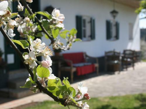 Apartamento Sonnenhaus Grandl