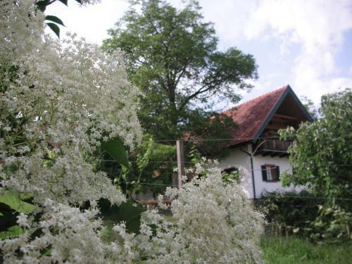Agroturismo Bauernhof Grain