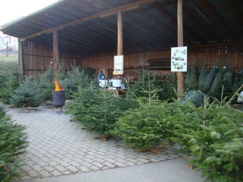 Agroturismo Bauernhof Grain