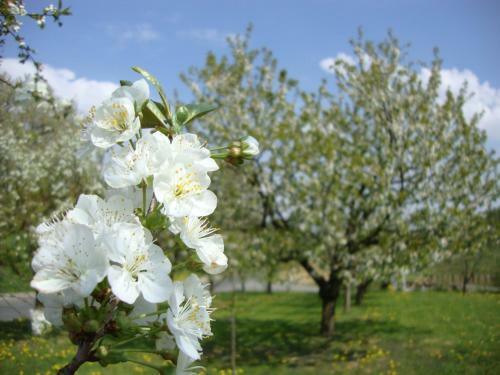 Agroturismo Bauernhof Grain