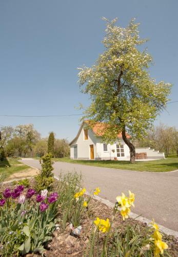 Hostal Landhaus Essl