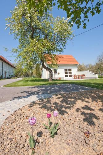 Hostal Landhaus Essl