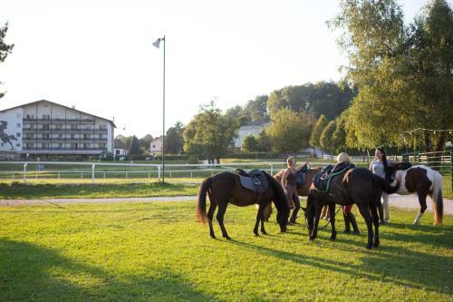 Hotel Reitzentrum Hausruckhof