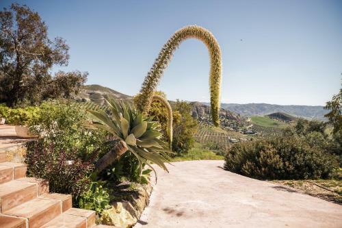 Rosas Cantares: Casa Siri