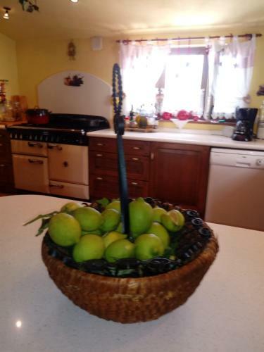 Bed & Breakfast Casa Miguel