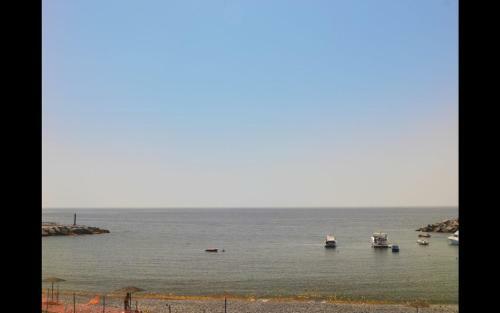 Apartamento Junonia Mar�timo