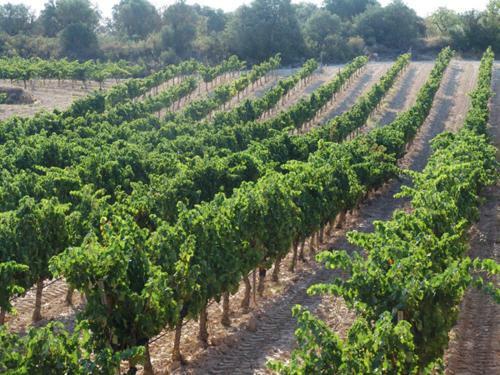 Agroturismo Los Trulls D�auligu�