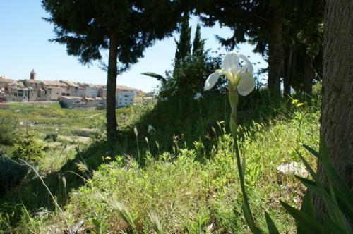 Agroturismo Los Trulls D�auligu�