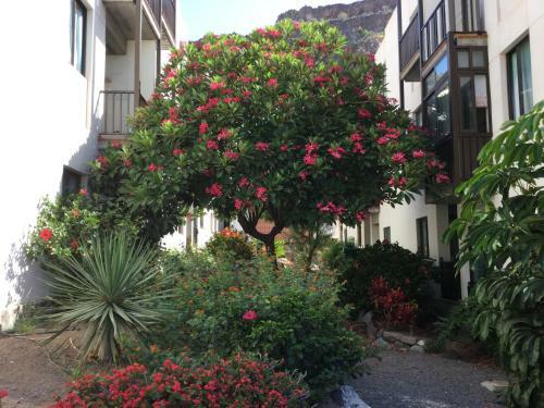 Apartamento Ana En Playa De Santiago