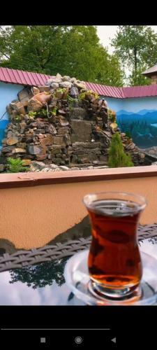 Hostal Qabala Davinci Qonaq Evi
