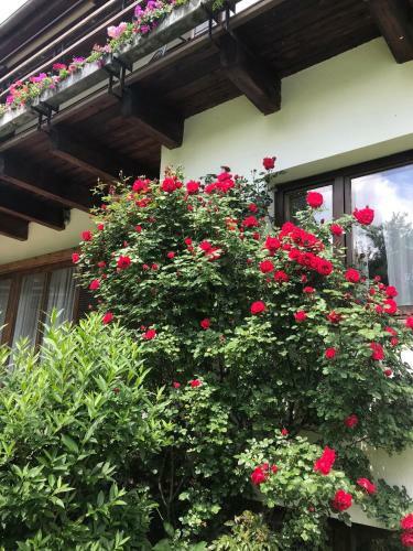 Hostal Landhaus Am Kurpark