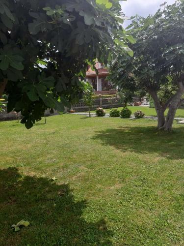 Casa Con Jardin