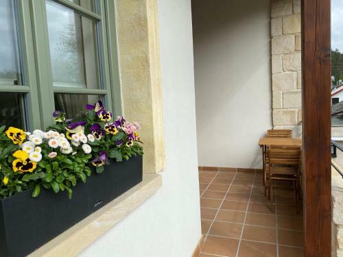 Apartamento Penzion Stodola