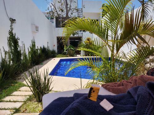 Apartamento Casa Gekos Cuijas