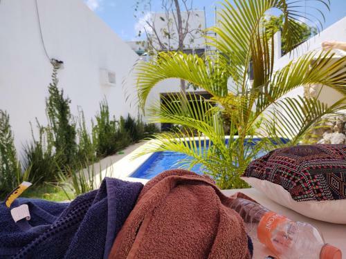 Apartamento Casa Gekos Cuijas
