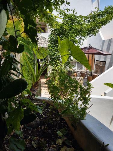 Apartamento Casa Gekos Cuijas