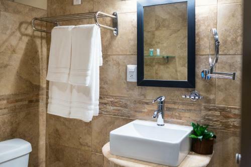 �lamos Inn Hotel Con Jacuzzi Y Piscina