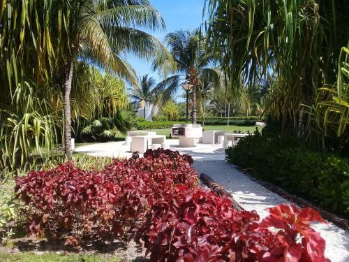 Apartamento Swim The Caribbean & Work With A View