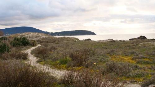 Casi�as Mari�eiras (taberna Vella)