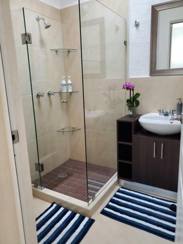 Lone Star Del Caribe