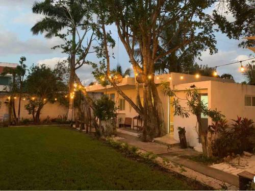 Hostal Ecoplaneta By Casa Borush
